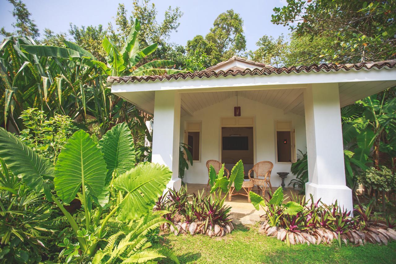 Karmel Villa Thalduwa Island - Five Bedroom Luxury Villa With Private Pool Ahangama Εξωτερικό φωτογραφία